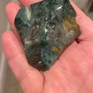 Bloodstone Palm Stone